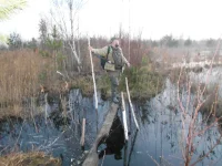 DSCN0919.webp