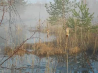 DSCN0921.webp