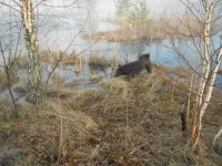 DSCN0924.webp
