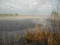 DSCN0927.webp