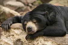 000073c9_medium.webp