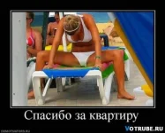 big.webp