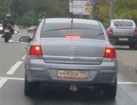 опель.webp