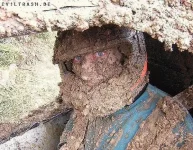 весна.webp