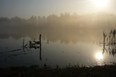 P1030004.webp
