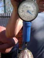 27042012317.webp