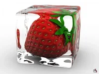 1311760127_1291801247_12_028.webp