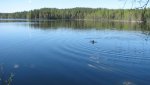 IMG_3083.jpg