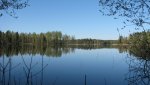 IMG_3110.jpg