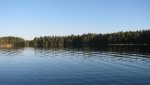 IMG_3140.jpg