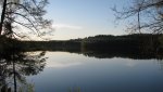 IMG_3143.jpg