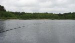 IMG_3242.jpg