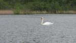IMG_3245.jpg