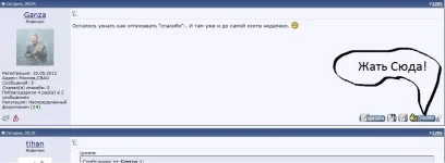 3.webp