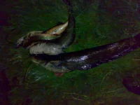 21052012446.webp