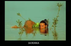 1012_1028_184r.webp