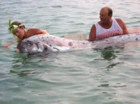 0000779c_medium.webp