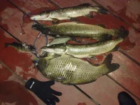24052012366.webp