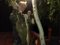 24052012370 Й.webp