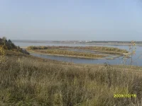SDC10878.webp