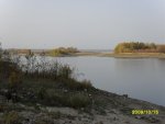 SDC10882.JPG