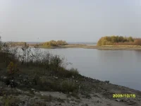 SDC10882.webp