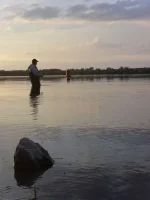 SDC11709.webp