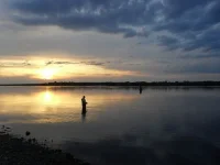 SDC11730.webp