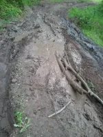2012-05-27 19.00.53.webp