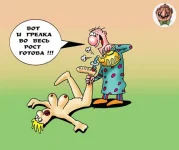 d002aa96a14e.webp