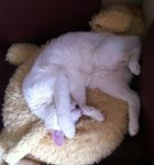 IMG_1620.JPG