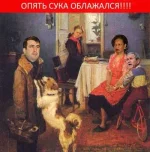 mishko-kakashko.webp