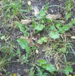 100_0194-2.webp