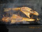 IMG_0812.jpg