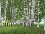 IMG_375811.jpg
