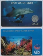 25938980_padi.webp 25938980_padi.webp