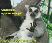 idite.webp