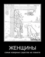 Коварные женщины.webp