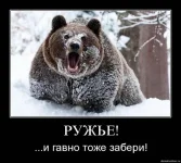 Медведь 2.webp