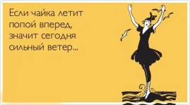 56не.webp