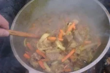 IMAG0345.webp