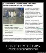 1339419778_1cgbew26weo0.webp