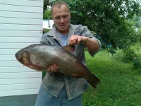 окские (2).webp