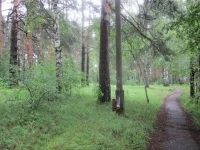 боровое 018.webp