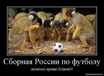 gSq-mJ0zoOc.webp