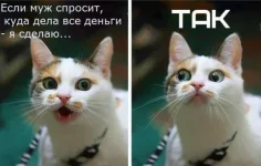 Udrsr_VNcaE.webp