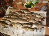 DSCF3487.webp