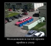 1339764624_1.webp