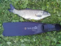 19062012096.webp