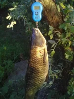 19062012100.webp
